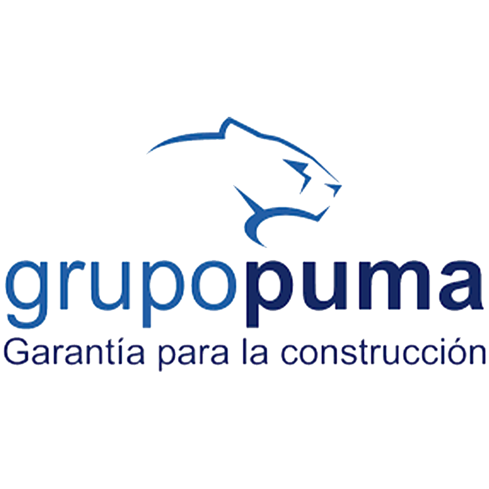 grupo puma